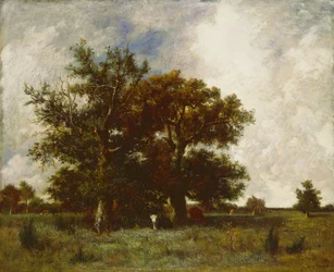 Fontainebleau Oak, ca 1840